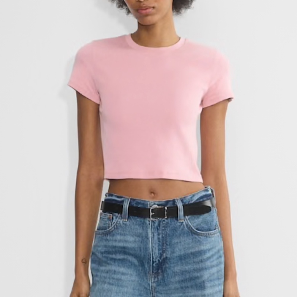 Aritzia Homestretch Cropped T-Shirt - Pink